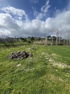 Milas Akkovanlik Kadastral Yola Cepheli